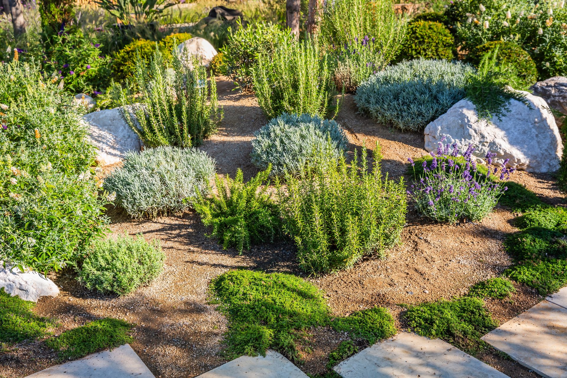 Colorado landscape with professional native plantings