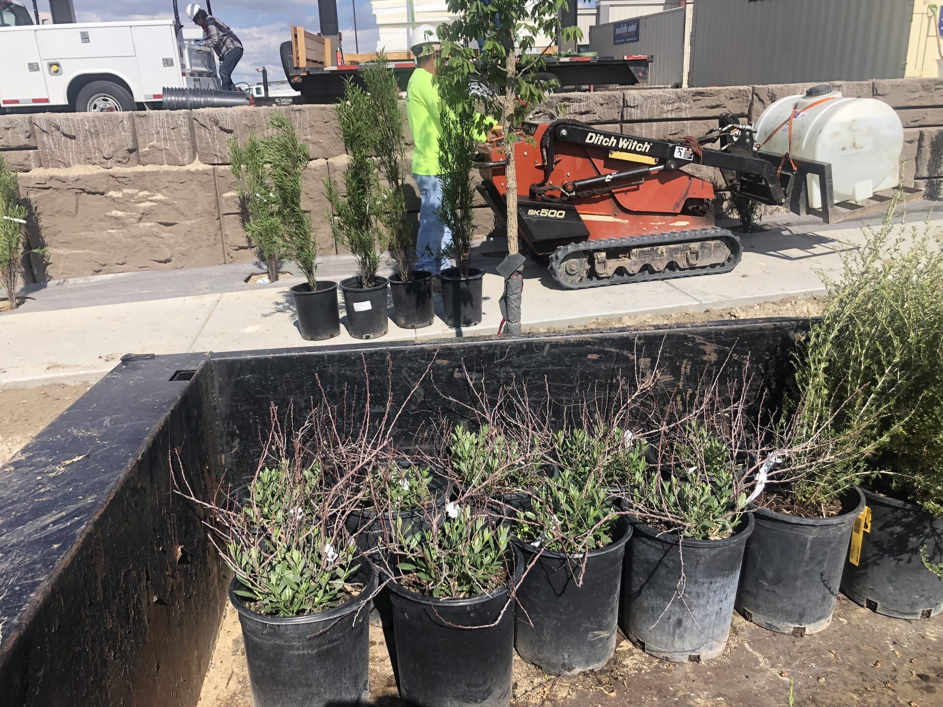 Metropolitan Total Property crew staging trees and shrubs for a commercial planting installation in Colorado