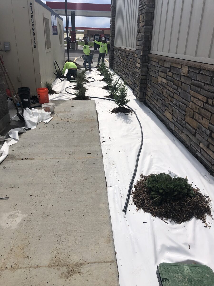 Metropolitan Total Property crew installing shrubs and ornamental grasses along a new Colorado commercial building