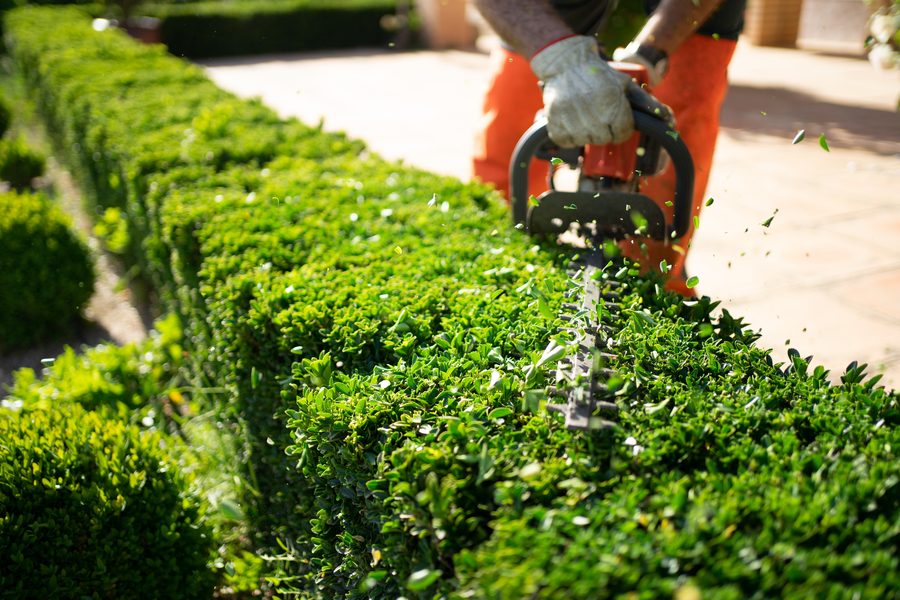 Commercial grounds maintenance for an HOA and office park property in the Denver Metro area