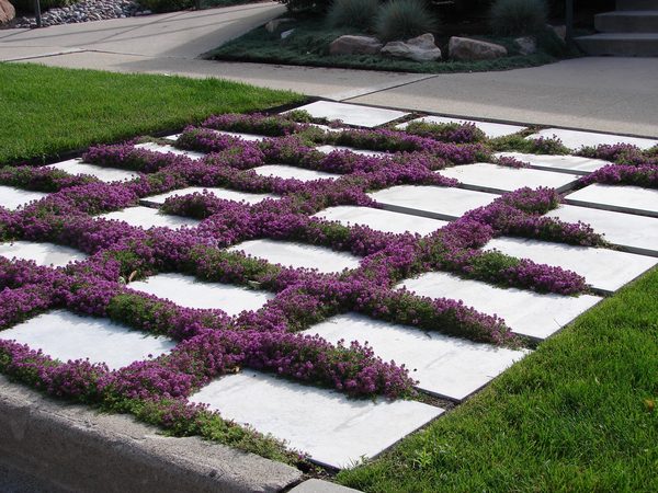 Hardscape installation — concrete pavers with flowering groundcover