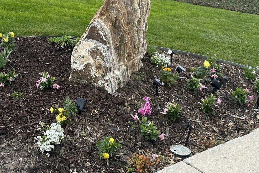 Annual color bed planted around a feature boulder with mulch and landscape lighting