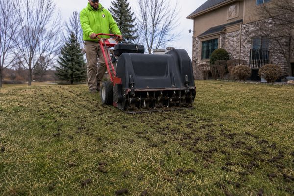 Core aeration — walk-behind aerator pulling soil plugs on a Colorado lawn
