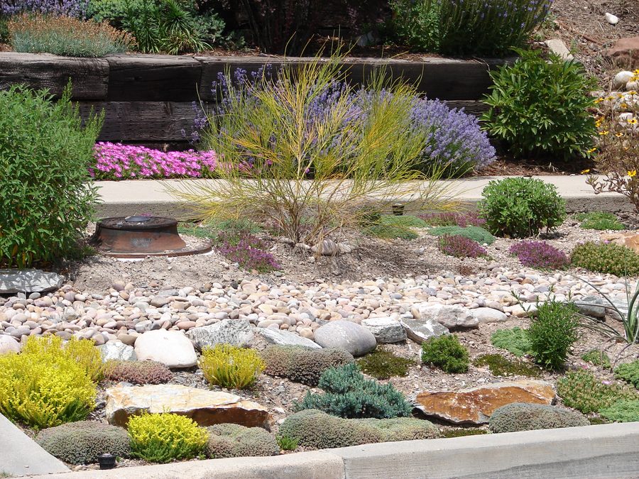 Colorado residential xeriscape with rock, native grasses and perennials